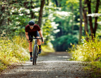 Reise- oder renntauglich oder eins für alles: Gravelbikes auf den Zahn gefühlt