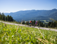 Top 20 Bike-Regionen 2025