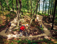 Top 20 MTB-Trails zum Einstieg 2025