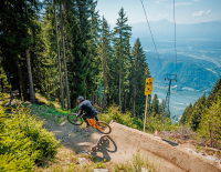 Top 20 MTB-Experten-Trails 2025