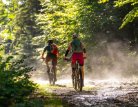 WOID-Flow im Bayerischen Wald: In vier Tagen auf zwei Rädern durch das ARBERLAND