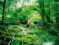 Laufbar –  wunderbar: 4 Profis verraten, was schöne Lauftrails ausmacht und geben ­Einsteiger-Tipps