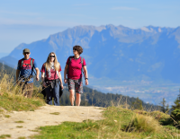 Kulinarik Tour: Genusswanderung...mit Pfiff