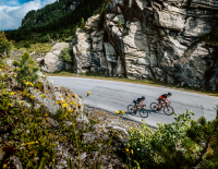 Die neue Mitte: Warum es sich besonders lohnt, mit einem Race-Allrounder zu liebäugeln