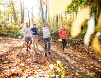 Die Polypille ­Bewegung: Die Top-10-Fitnesstipps von „SPORTaktiv Doc“  Dr. Robert Fritz