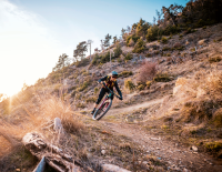 Tour mit Trail: Mountainbikes mit und ohne E-Antrieb – für kleine bis große Touren