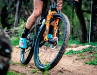 Rollware: Rollwiderstand, Dämpfung, Grip und Kontrolle – die Welt der MTB-Pneus