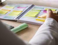 Fit mit Sumi: Mein Schweinefant