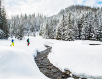 Top 20 Winteralternativen 2025