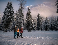 Auf leisen Pfaden: Die Stille des Winters in Wanderschuhen und auf Schneeschuhen entdecken