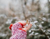 © © Pixabay / Helena Jankovičová Kováčová Erste Hilfe bei Kälteverletzungen: Warnzeichen erkennen und richtig handeln