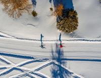 Im Renntempo über die Loipe