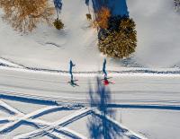 Im Renntempo über die Loipe