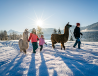 MÄRZplus 2026 am Wilden Kaiser: Wenn Winter & Frühling aufeinandertreffen