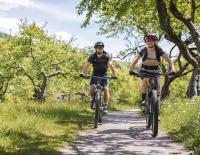 Bike & Relax im Brixental