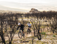 © Fotograf / Bartek Wolinski (@wolisphoto) 5 Fakten über ergonomische Griffe von SQlab, die jeder Radfahrer kennen sollte