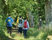 Trekking Award 2026 geht an den Goldsteig