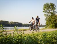 © © Donau Niederoesterreich / Barbara Elser / Am Donauradweg bei Theiss. Das Kremstal entdecken – Radvergnügen zwischen Wein, Kultur und Natur