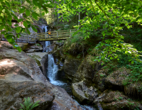 © © Bodenmais Tourismus / Hochfall Bodenmais hat Deutschlands schönsten Wanderweg 2026