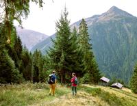 Top 20 Herbst-Almtouren 2026