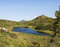 Natur am Nassfeld / Bild: NLW / Franz Gerdl