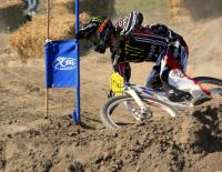 Hill ueber Adrenalin
