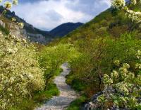 Unterwegs am Alpe-Adria-Trail – Etappe 36: Lipica - San Dorligo della Valle / Dolina / Bild: Turismo FVG