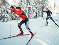 AlpeAdriaLanglaufCamp