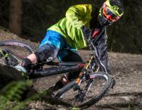 Downhill-Neuheit 2017: das Bergamont Straitline / Bild: Hersteller