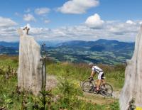 Alle Strecken der Bike-Region Graz auf einer Gratiskarte / Bild: Graz Tourismus