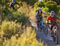 E-MTB: Die Fahrtechnik für den Uphill-Flow / Bild: Bosch
