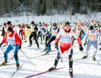 Langläufer aufgepasst: Der 42. Dolomitenlauf 2016 in Osttirol ist gesichert! / Bild: Expa Pictures