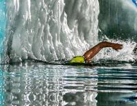 Der Mann aus dem Eis: Wiener Extremschwimmer fühlt sich erst bei Minusgraden richtig wohl / Bild: Josef Köberl