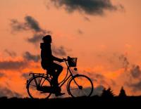 Onlinebörse „fahrrad4you.at“ eröffnet Marktplatz für den Fahrradhandel / Bild: KK