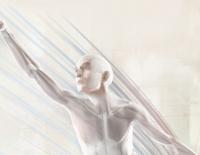 Faszinierende Faszien: Das kann der neue Fitnesstrend / Bild: Fascialnet