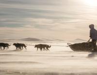 Eisgekühltes Abenteuer: SPORTaktiv bei der Fjällräven Polar / Bild: Fjällräven Polar