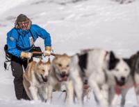 Fjällräven Polar 2015: Mit dem Hundeschlitten durch die Trundra / Bild: Fjällräven