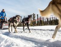 Bewerbung für den Fjällräven Polar 2016 bis 10. Dezember 2015 geöffnet! / Bild: Fjällräven