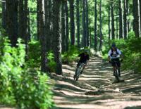 Wegerecht im Wald: Freie Fahrt für Mountainbiker! / Bild: Specialized