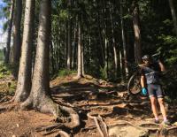 Georg Michl beim Dolomitenmann 2017 / Bild: Georg Michl