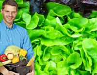Gesunde Ernährung: Iss dich schlau! / Bild: Reinhard-Karl Üblacker / KK