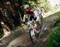 Bild: Granitbeisser © Bild: Granitbeisser Bild: Granitbeisser