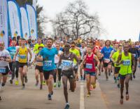 Österreich am Stockerl beim Laguna Poreč Halbmarathon 2017 / Bild: Veranstalter