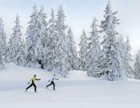Voll in der Spur: Die ersten Langlaufstrecken im Tiroler Pillerseetal sind in Betrieb / Bild: TVB Pillerseetal