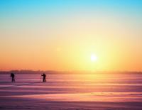 Weg von der Loipe: Langlaufen im Backcountry / Bild: iStock / darkbird77