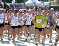 Bild: Lipizzanerheimatlauf