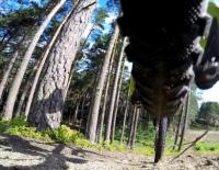 Mittendrin: Klare Worte zum Forststraßen-Streit / Bild: iStock / fire-and-ice