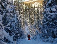 Montane Yukon Arctic Ultra 2018: Ein Ultramarathon für Verrückte? / Bild: Joe Bishop