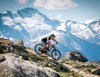 Cross Country, Tour & Enduro: MTB-spezifisches Training für jeden Bikertyp / Bild: Liv Cycling / Giant