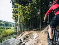 Mittendrin: Über Vorjahresmodelle und Must-haves / Bild: iStock / blyjak